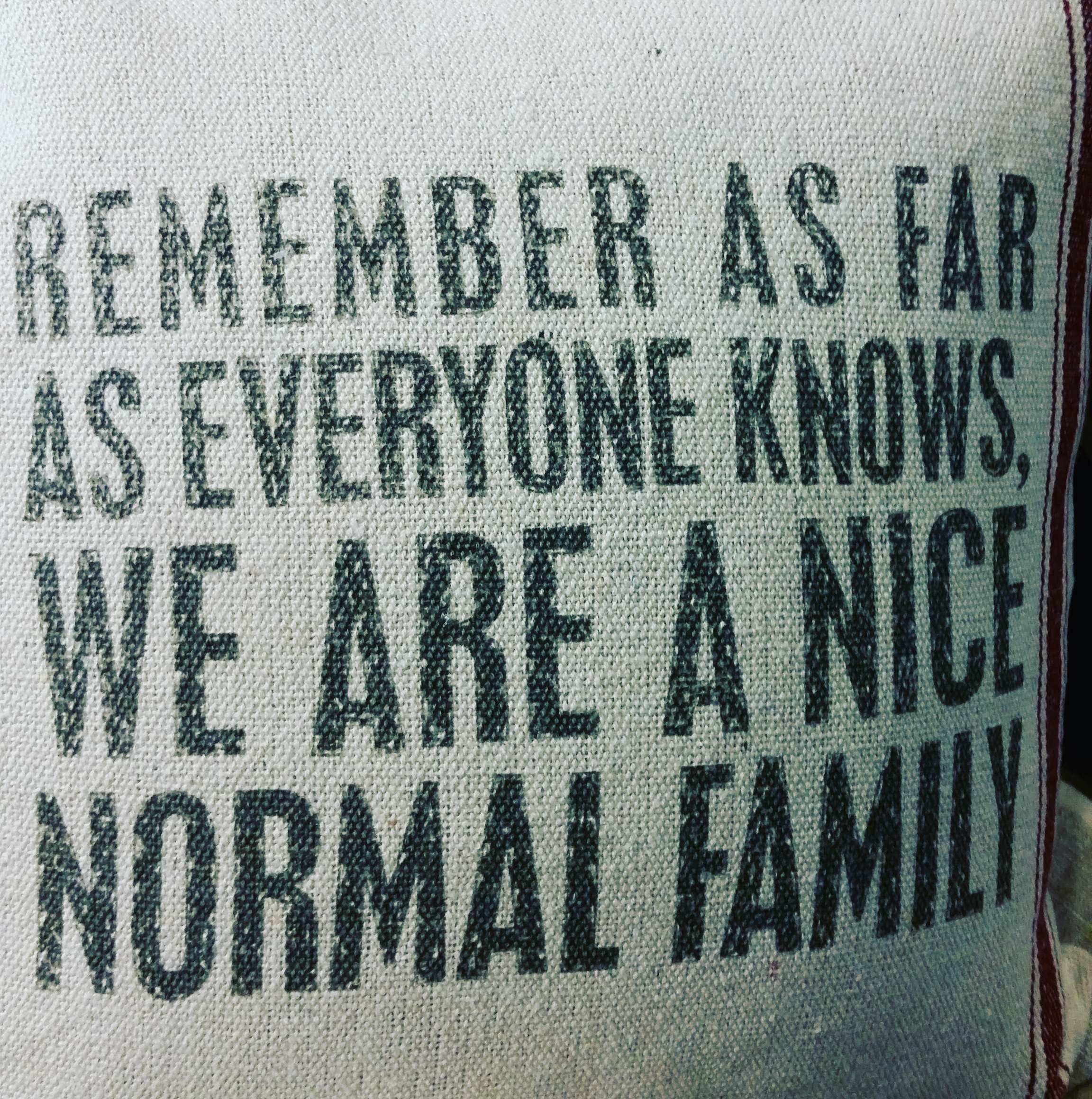 normal family pillow